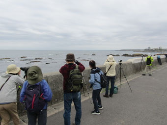 ひたちなか市平磯海岸