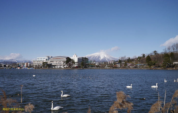 高松の池