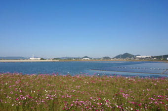 高松市 小田池（右側が太陽光パネル）