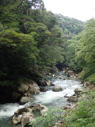 初夏の加江田渓谷