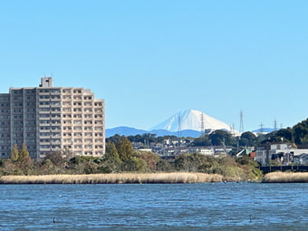 佐鳴湖