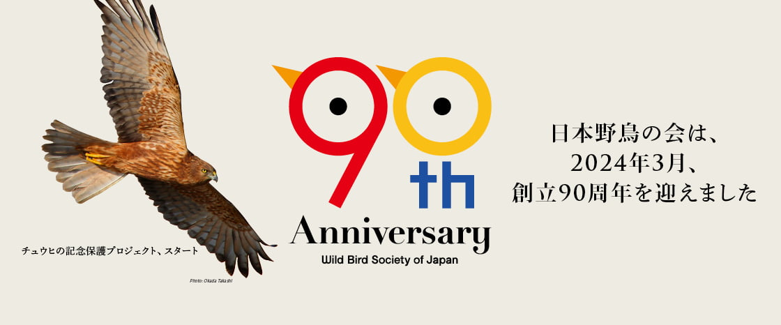 日本野鳥の会90周年アイキャッチ画像