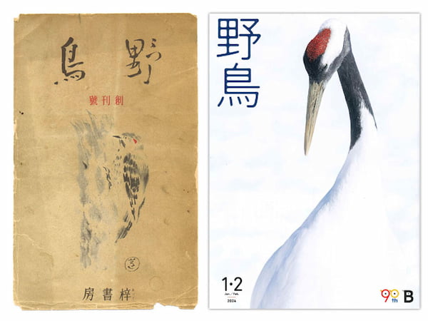 1934年5月発行の『野鳥』誌創刊号