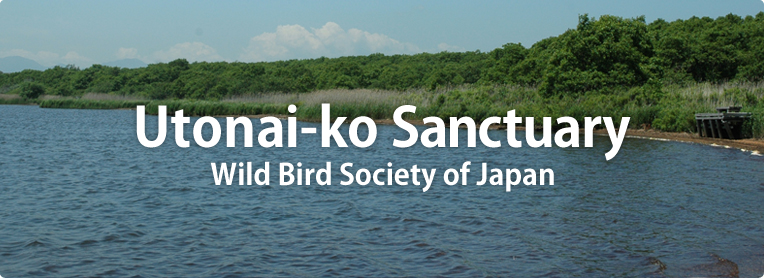 Utonai-ko Sanctuary / Wild Bird Society of Japan