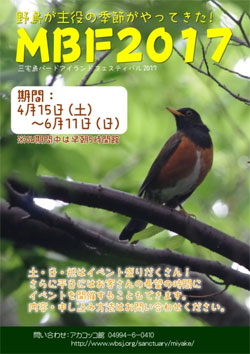 三宅島バードアイランドフェスティバル2017