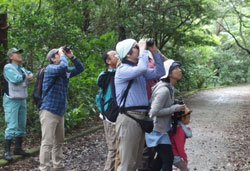 バードウォッチング