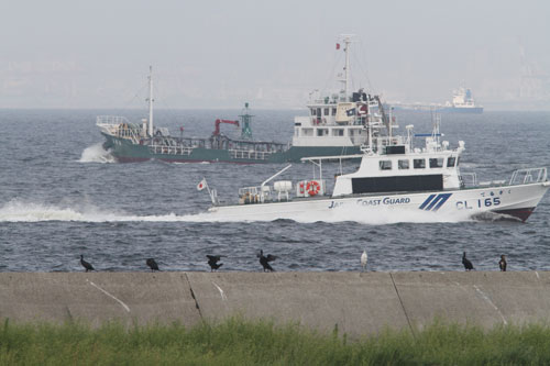 鳥のいる日本の風景写真