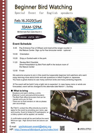 Beginner Bird Watching in English