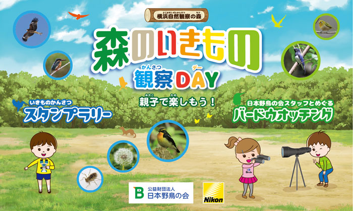 2024年4月27日開催森のいきもの観察DAY親⼦で楽しもう!