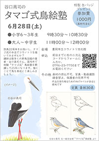 谷口高司氏の「タマゴ式」鳥絵塾
