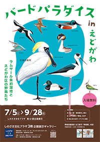 世界が認めた野鳥図鑑画家　谷口高司「原画展」（ポスター）