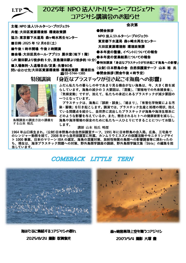 コアジサシ講演会チラシ