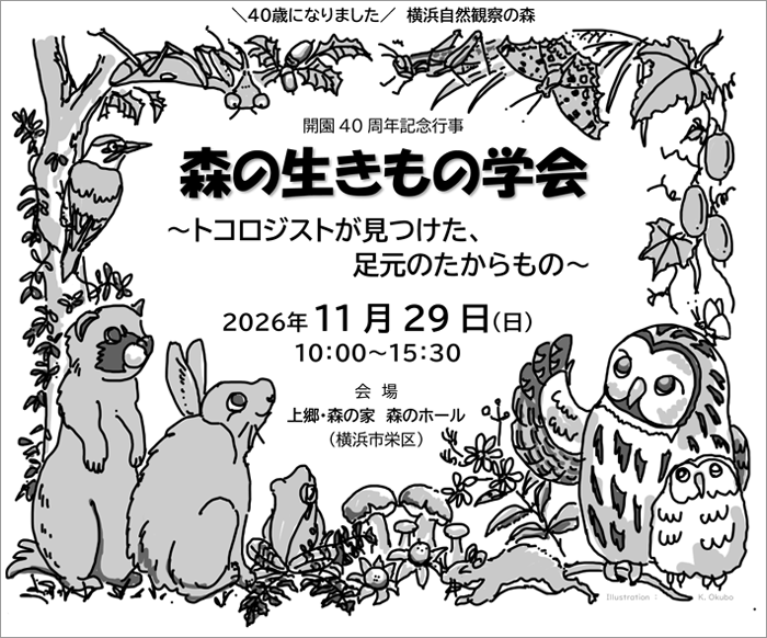 森の生きもの学会～トコロジストが見つけた、足元のたからもの～