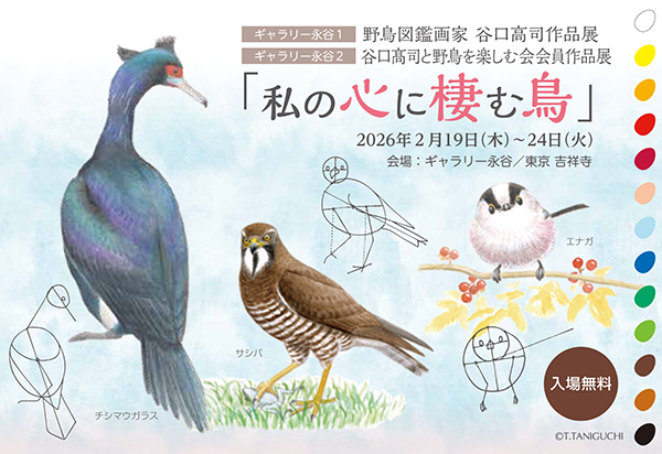 谷口高司氏 作品展「私の心に棲む鳥」（ポスター）