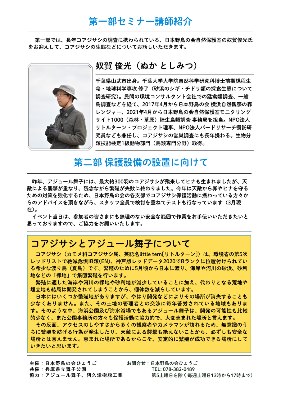 コアジサシを守ろう！保護活動イベント参加者募集