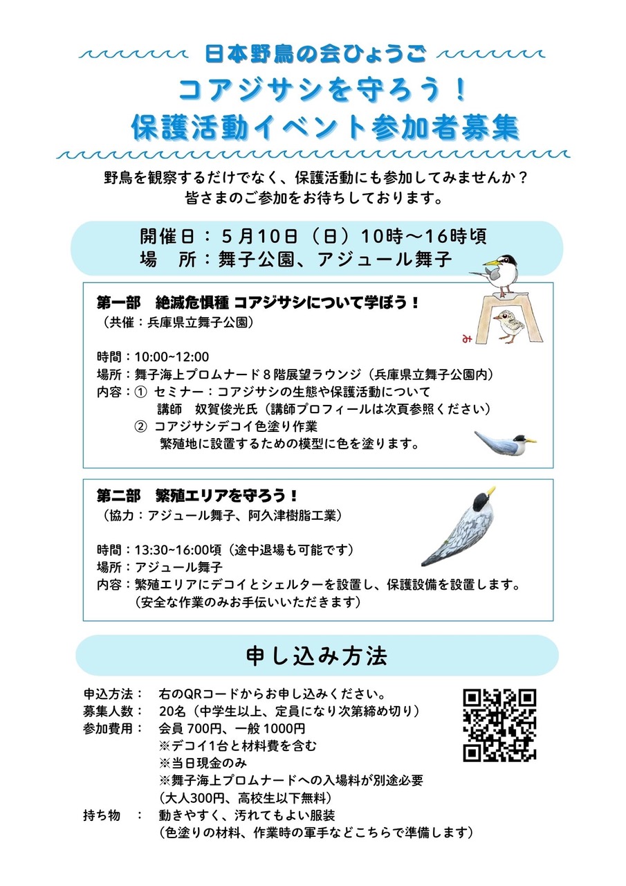 コアジサシを守ろう！保護活動イベント参加者募集