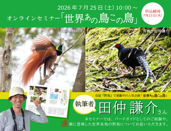 日本野鳥の会 - 日本野鳥の会オンラインセミナー「世界あの鳥この鳥」