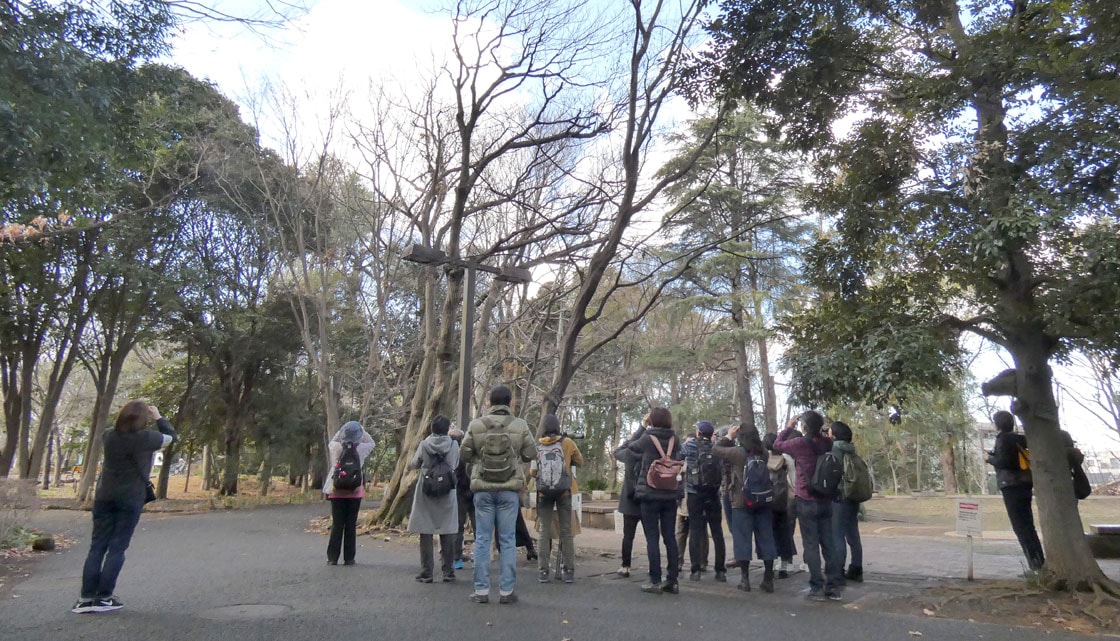 日本野鳥の会 : バードウォッチングに出かけよう