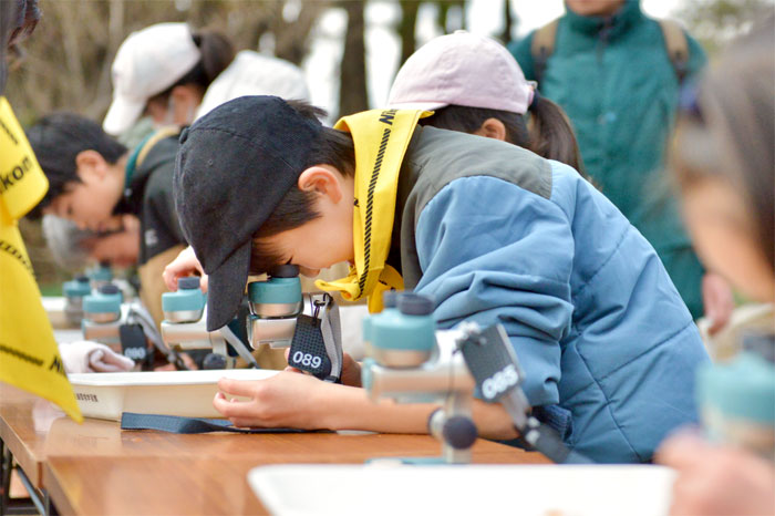 子どもたちが顕微鏡で観察をするようす"