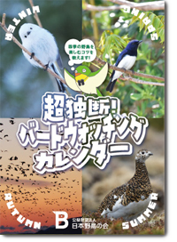 超独断!バードウォッチングカレンダー