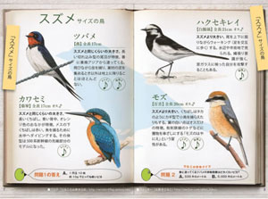 日本野鳥の会 気になるあの鳥がわかる小冊子 おさんぽ鳥図鑑 プレゼント