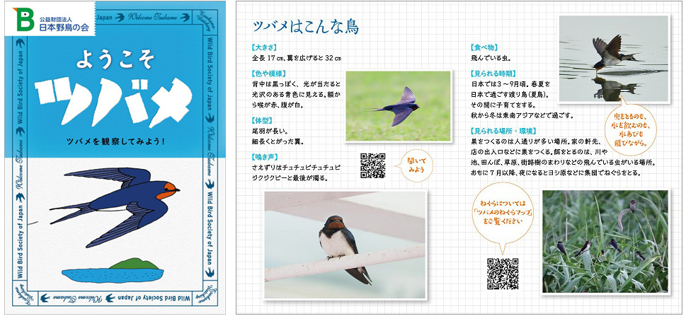 日本野鳥の会 : パンフレット『ようこそツバメ』プレゼント！