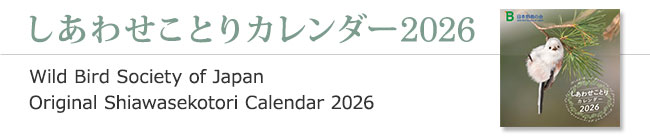 しあわせことりカレンダー2026