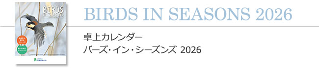 卓上カレンダー バーズ・イン・シーズンズ 2026