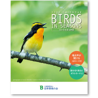 日本野鳥の会 オリジナルカレンダー
