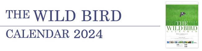 The WILD BIRD CALENDAR 2024