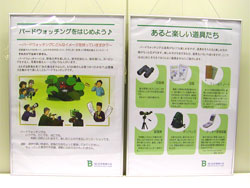 �p�l���̎ʐ^