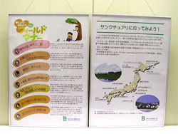 �p�l���̎ʐ^