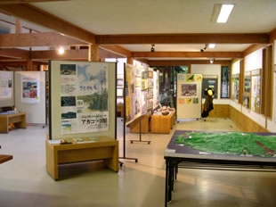 �ʐ^�Q�D�A�J�R�b�R�ف@�ٓ�