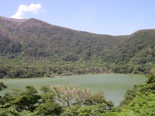 �ʐ^�S�D��H�r