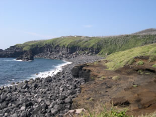 �ʐ^�T�D�x��l