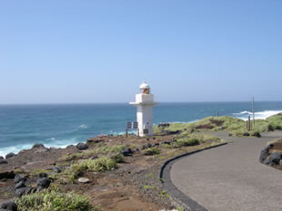 �ʐ^�U�D�ɓ���