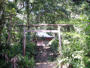 �ʐ^�V�D��t��