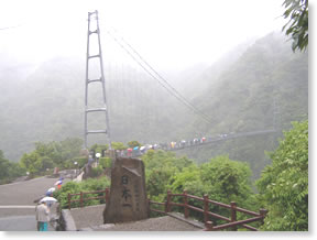 ��B�u���b�N���̏Ɨt���ь��w