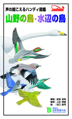 ���̕�������n���f�B�}��