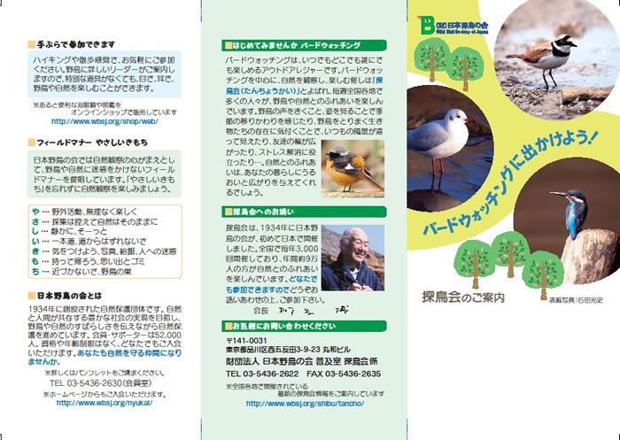 �T����p���t���b�g