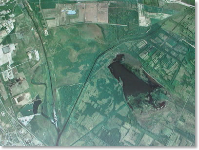 �ٓV���Ǝ��ӑ��n