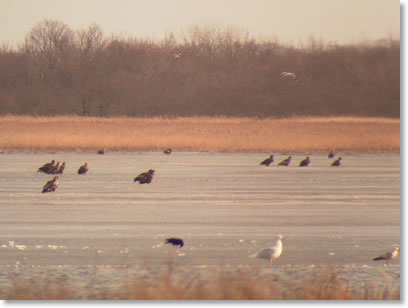 3���ٓ̕V��