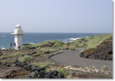 �ɓ����̌i��