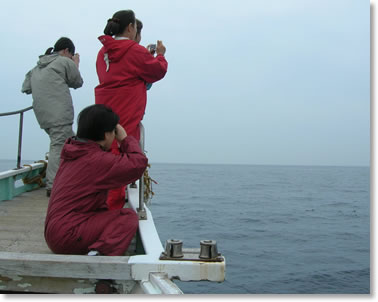 �D��E�H�b�`���O�̗l�q