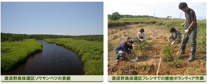 �n粖쒹�ی��\�E�T���x�c�̌i��
�n粖쒹�ی��t���V�}�ł̐A���{�����e�B�A���