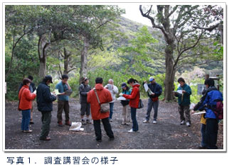 �ʐ^�P�D
�����u�K��̗l�q