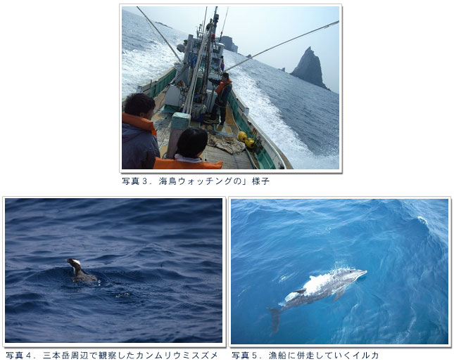 �ʐ^�R�D�C���E�H�b�`���O�̗l�q

�ʐ^�S�D�O�{�x���ӂŊώ@�����J�������E�~�X�Y��

�ʐ^�T�D���D�ɕ������Ă����C���J