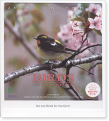 �o�[�Y�E�C���E�Z�]��2009���J�����_�[