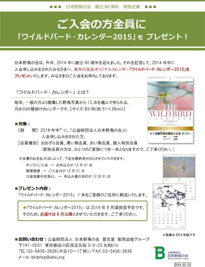 �J�����_�[�v���[���g�̃`���V