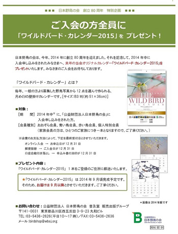 ���C���h�o�[�h�E�J�����_�[2015